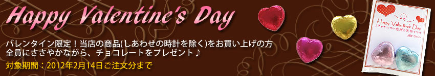 バレンタインデー限定プレゼント