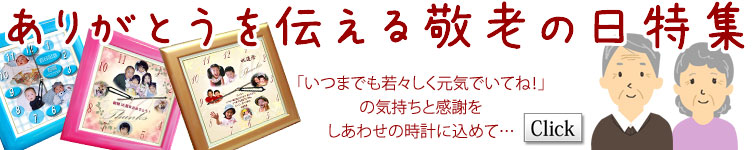 �h�V�̓��̑��蕨��