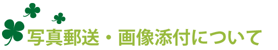 �ʐ^�X���E�摜�Y�t�ɂ���
