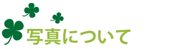 �ʐ^�ɂ���