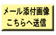 �摜���M���mail�A�h���X�ł��B