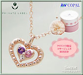 private rabel�i�v���C�x�[�g���[�x���E2010�N�N���X�}�X����W���G���[�j