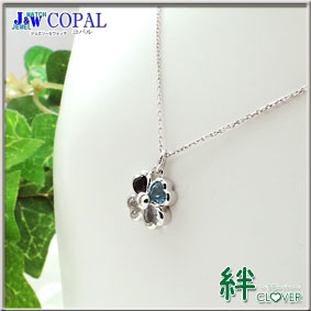 �J�N���[�o�[�l�b�N���X