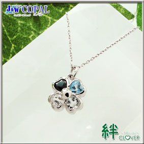 �J�N���[�o�[�l�b�N���X