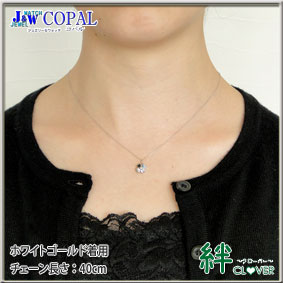 �J�N���[�o�[�l�b�N���X