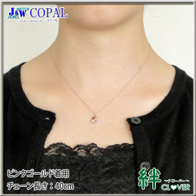 �J�N���[�o�[�l�b�N���X